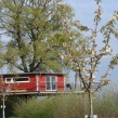 Baumhaus